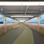 entry-130-img-158761218